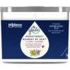 Glade® Aromatherapy Essential Oils Duftkerze Moment Of Zen 260G